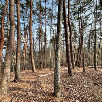 どの山頂も殺風景