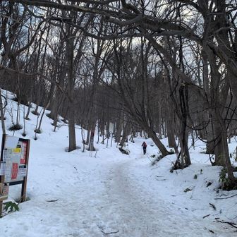 慈啓会口から登ります。