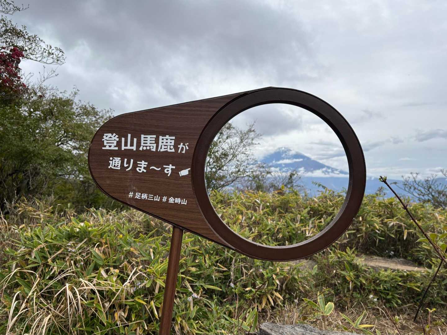 富士箱根トレイル（足柄駅〜金時山〜駿河小山駅）の写真