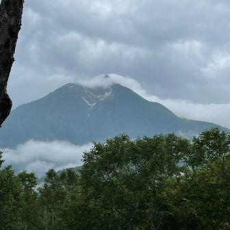 ダイスケ