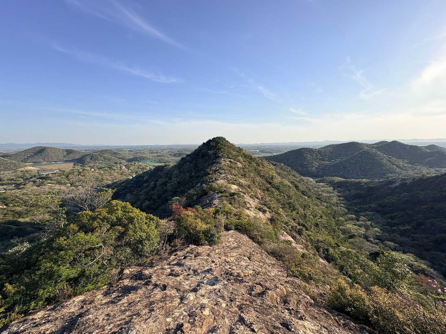山口登山口-大坂山 周回コースの写真