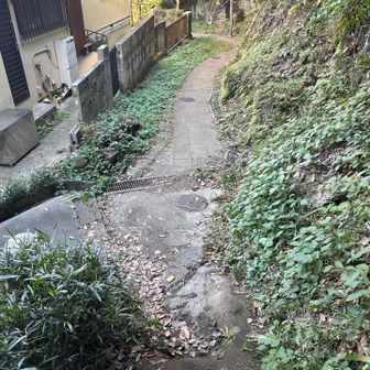 ハイキングコース終了ー。

六国見山へ向かう。