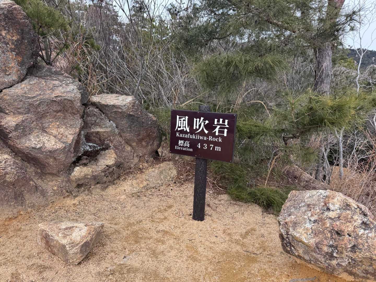 荒地山 往復コースの写真