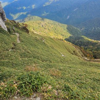 一休みしたいところですが、日没が近いので水場へ向かいます。
何しろきょうは暑くて水をガブガブ飲み、もう手持ちわずかです。次郎笈で水汲しなかったら、やばかった。