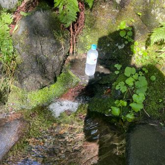 湧き水まできた
生き返った
まさに命の水だね
