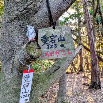 ①最初の愛宕山に登頂です🙌
眺望無し