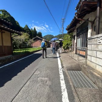 すごいタイミングでツアーに参加