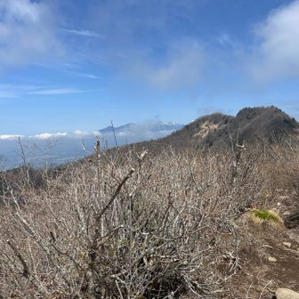 八ヶ岳、金ケ岳、金ケ岳南峰。