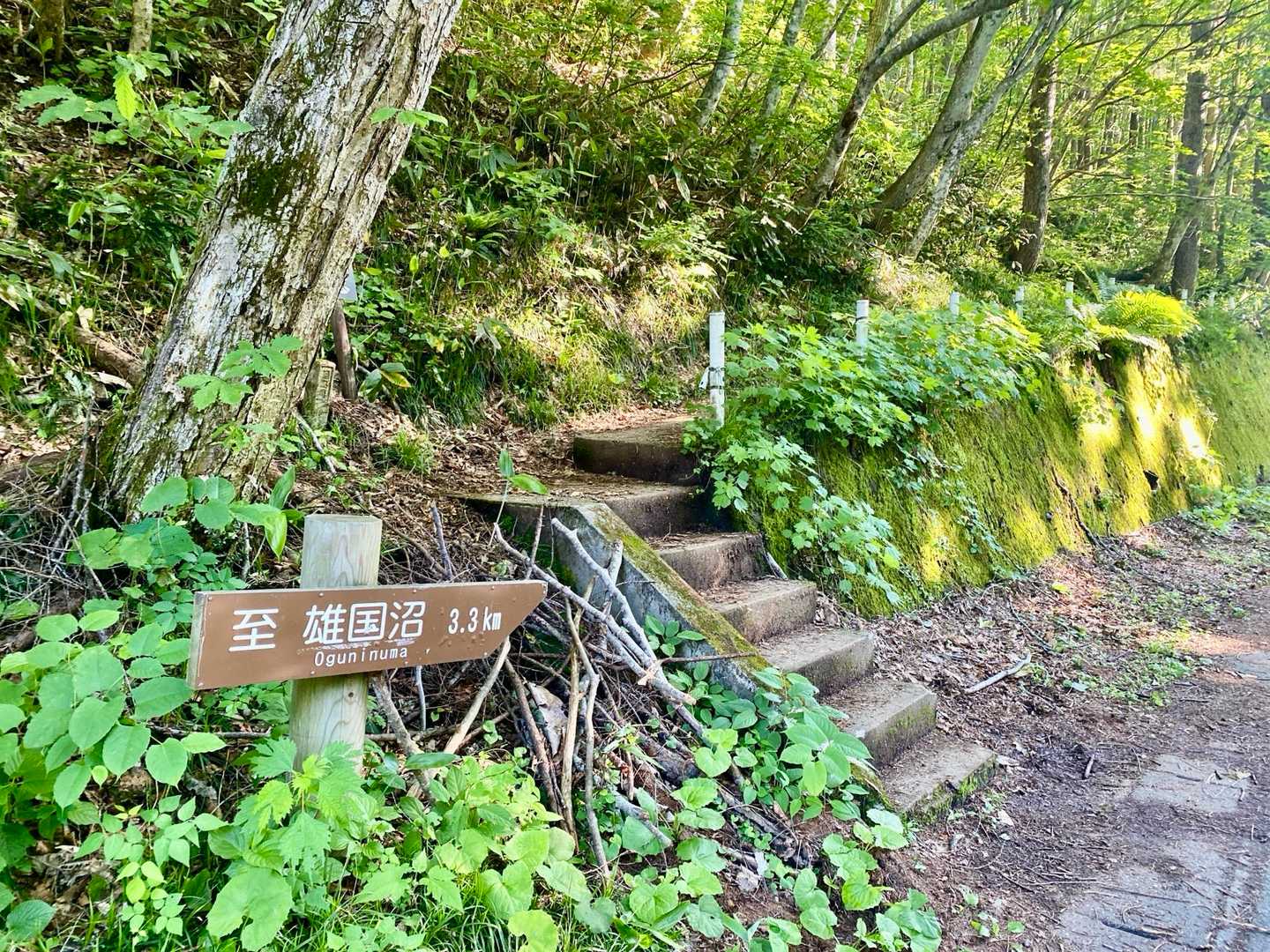 ここから雄国せせらぎ探勝路を3.3km歩いて雄国沼へ向かいます🥾