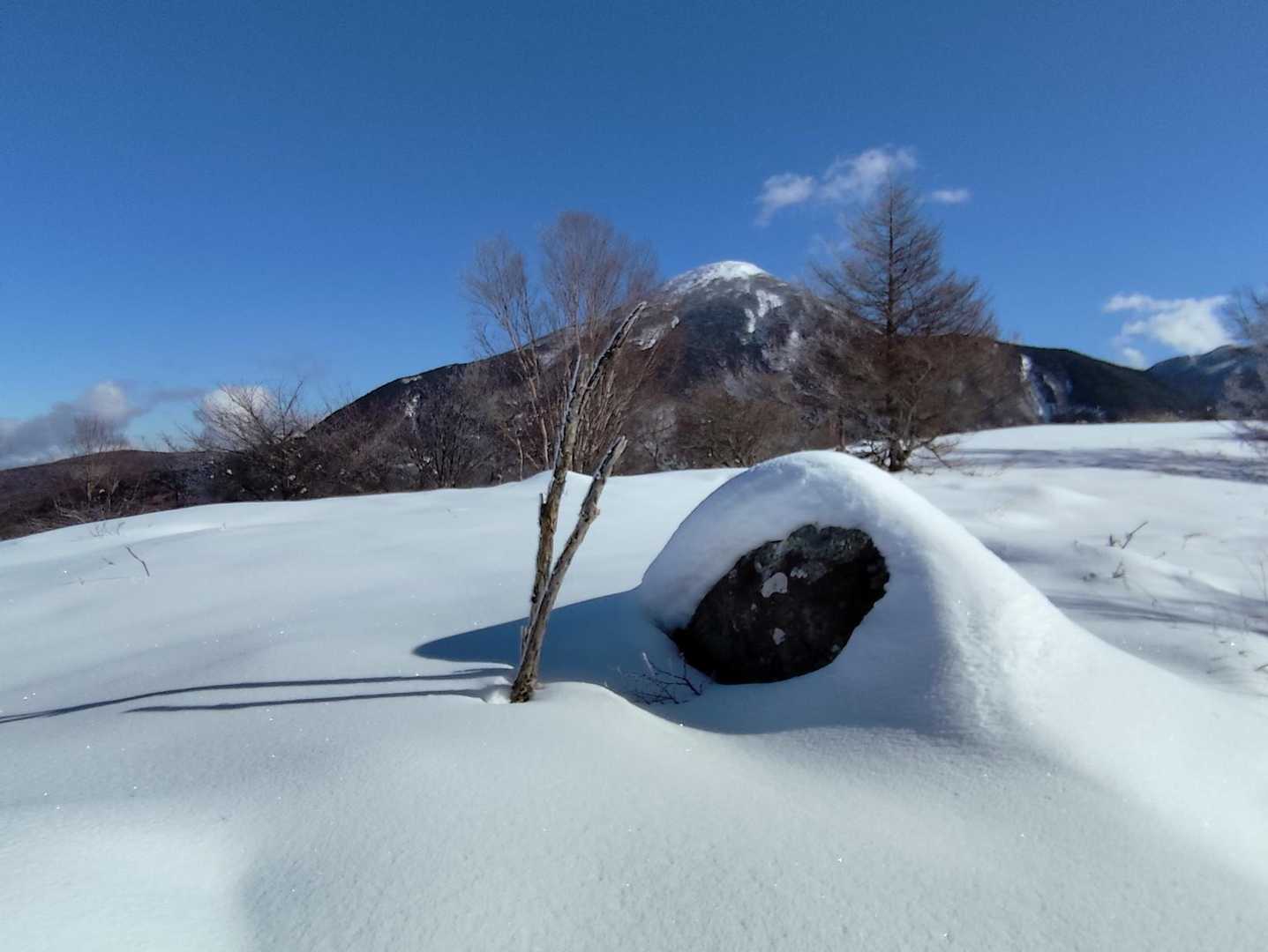 蓼科山　今年は雪が少いです
例年は真っ白なのですが…