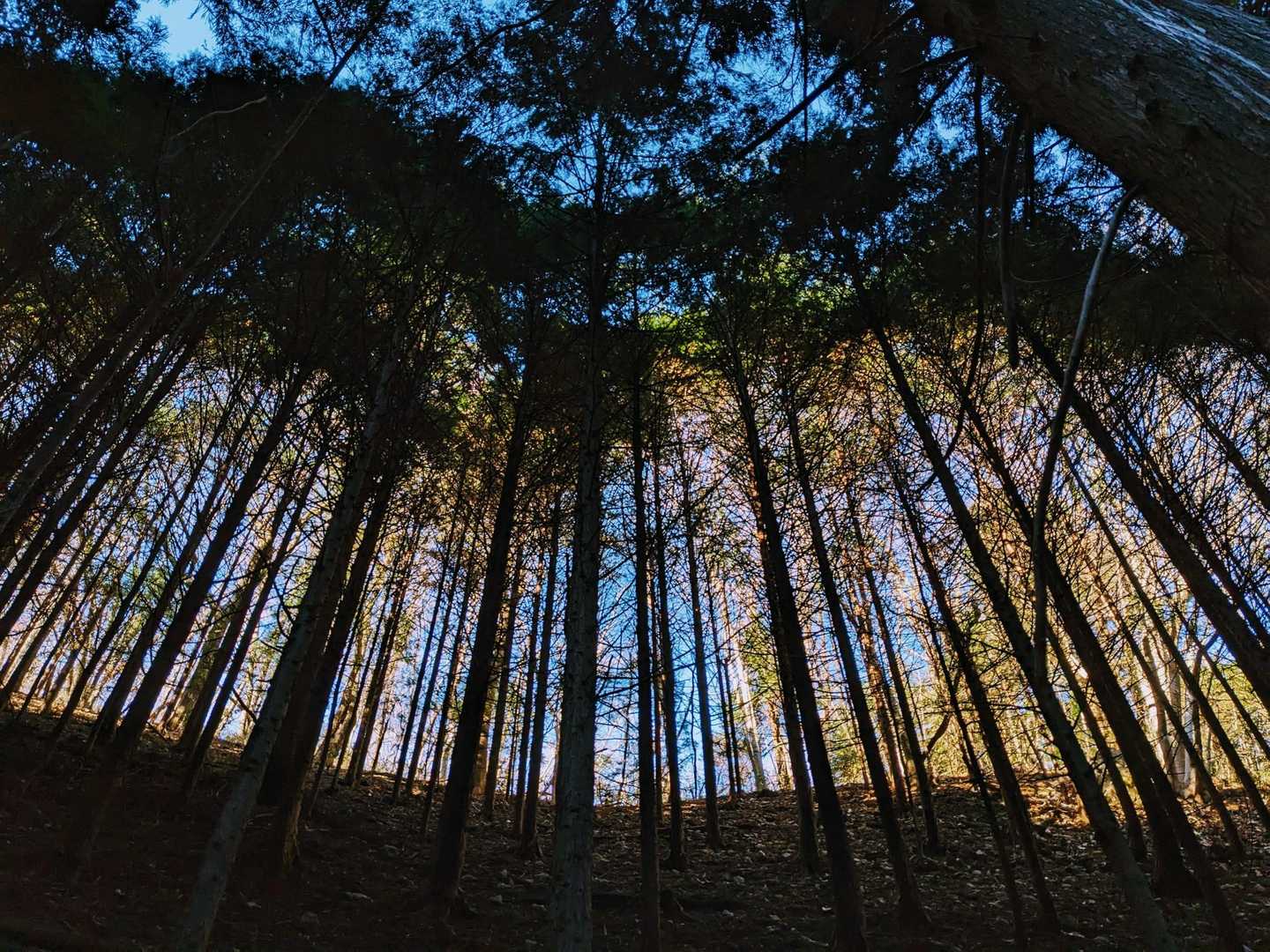 う、美しい✨