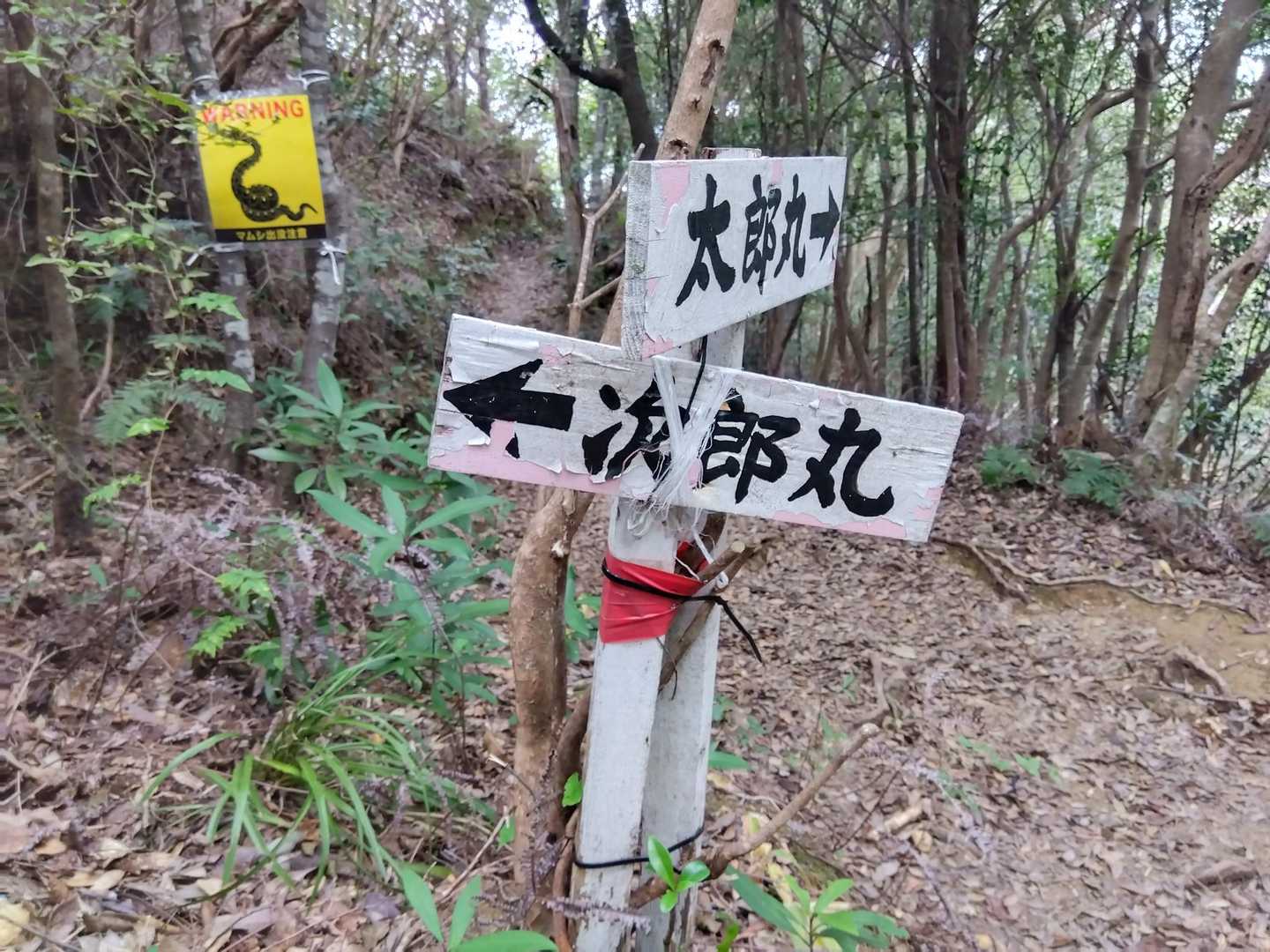 分岐を経由して次郎に向かいます。
