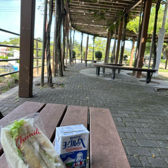 池田駅近くにあるあぷりこっとさんでサンドウィッチ🥪種類多すぎて選ぶのに時間かかっちゃった🤤ヨーグルッペも懐かしくて追加🐖⸒⸒⸒⸒