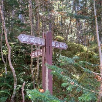 赤岳鉱泉へ