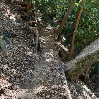 片側が切れ落ちている狭い道を進み、