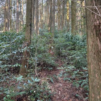 外れて岩野山へ