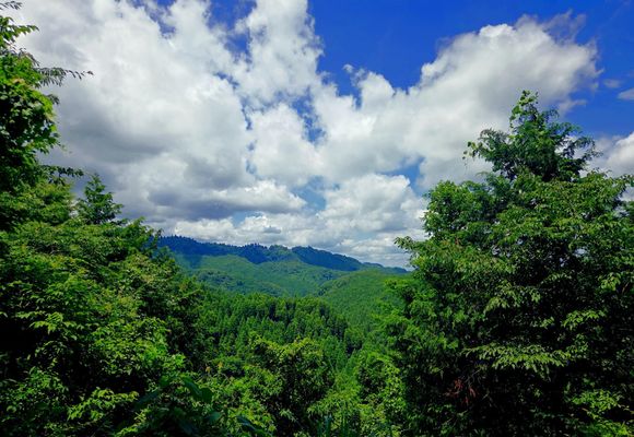 草戸山（東京・神奈川・364m）| 登山ルート・天気 | YAMAP / ヤマップ
