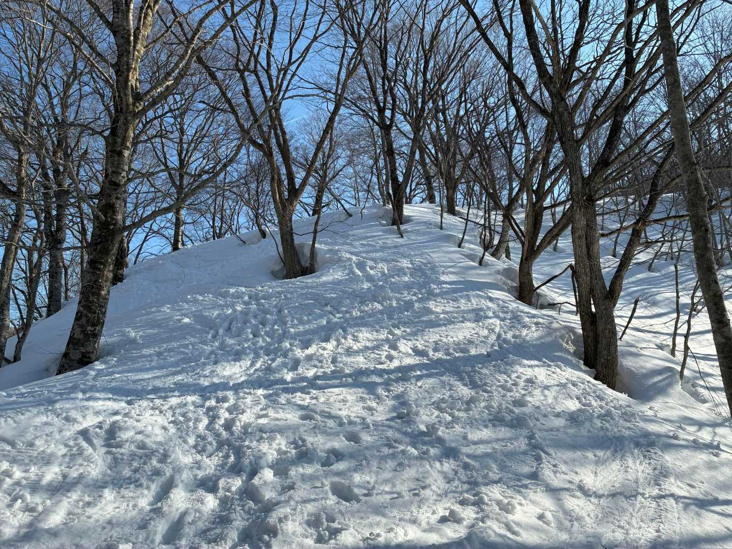 最初は急登がお出迎え。笑