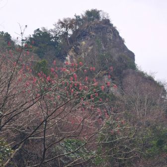 下山して蟹足岳を見上げる

ささやかな願い
いつか…自分も息子と一緒に
同じ風景を見てみたい☺️