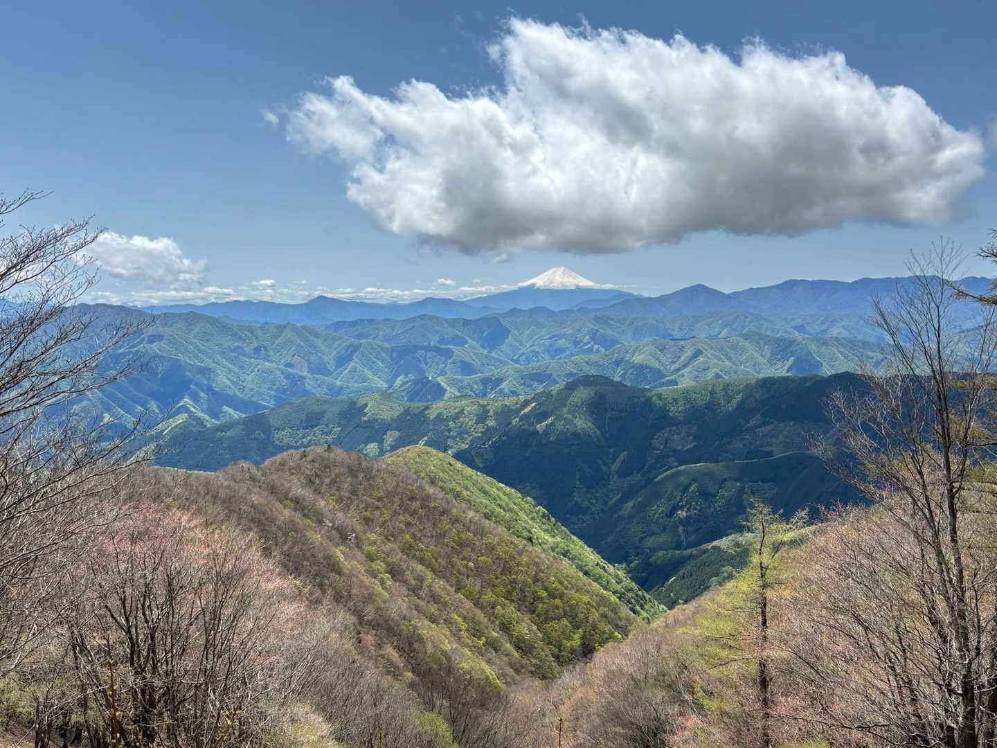 峰谷バス停-鷹ノ巣山-榧ノ木山-倉戸口バス停 縦走コースの写真