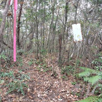 迷いながらも 山の神山に着いた🙌