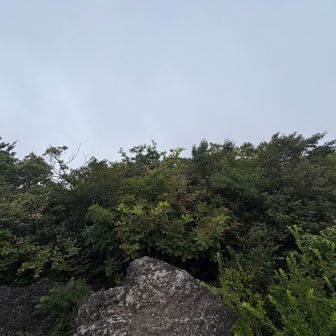 展望ポイントへ立ち寄りましたがガスで何も見えず。
で、ここで息子が足を捻ってしまいテーピングしました。