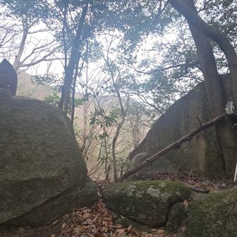 またミニはしご　登らな～い