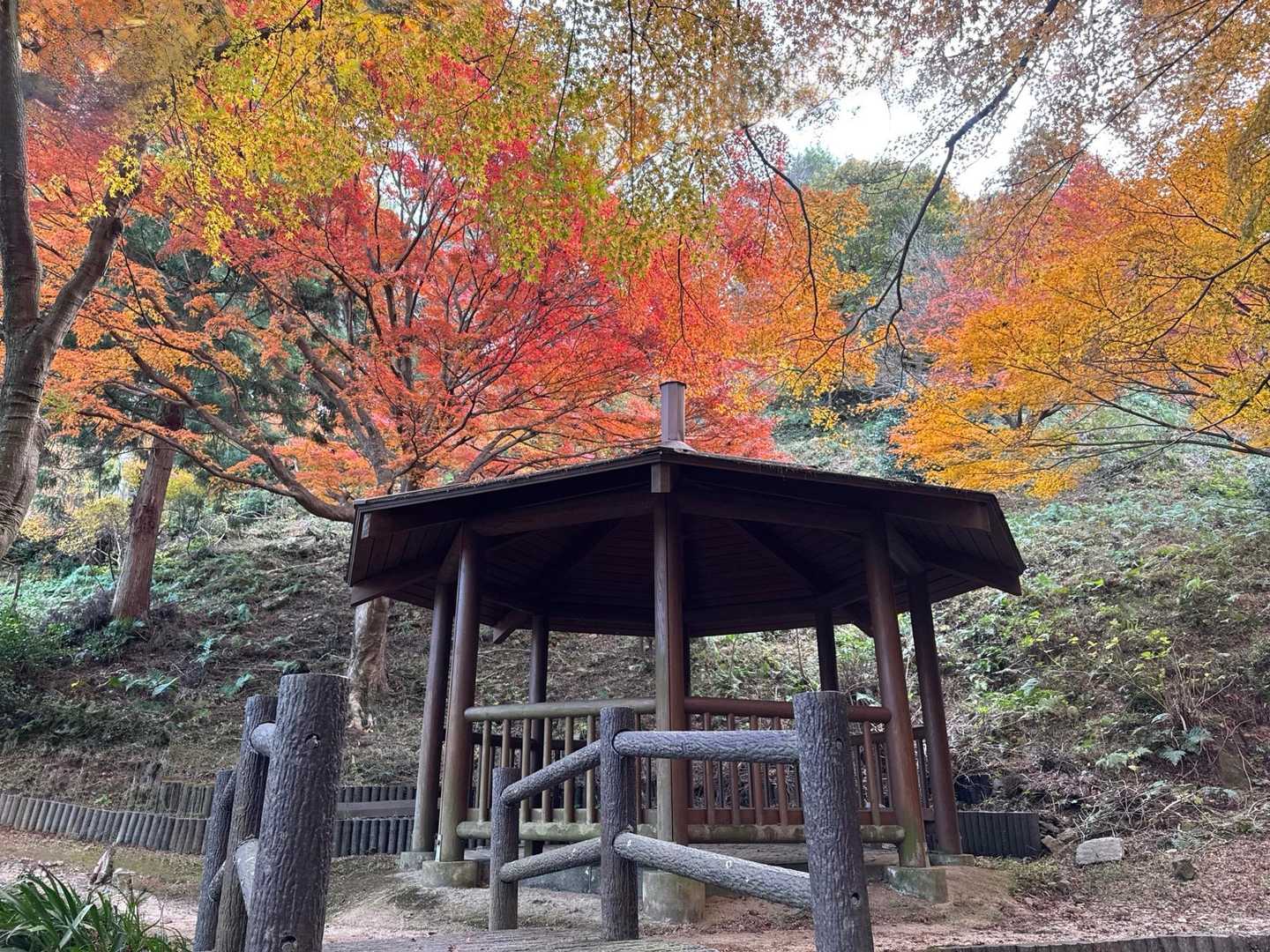 内山コース登山口-宮路山 往復コースの写真