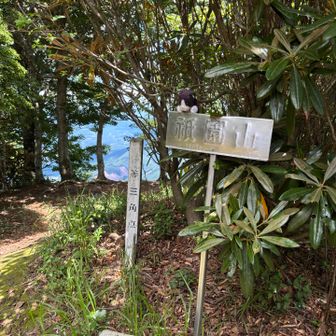 三等三角点⛰️
ここで早めの昼食🍙