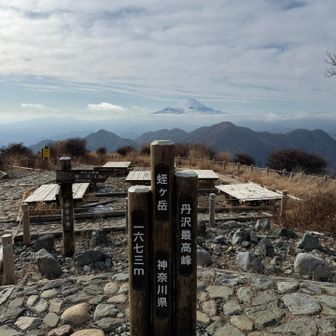 蛭ヶ岳ピーク&富士山
戻りは3時間で行くと決め🏃