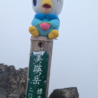 チャペルの森