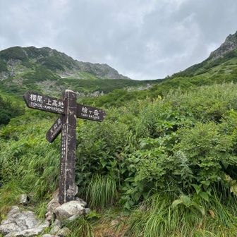 天狗原分岐
左へ進むと、逆さ槍ヶ岳が池に映る天狗池
