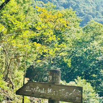 三ッ森峠からは急登です💦💦