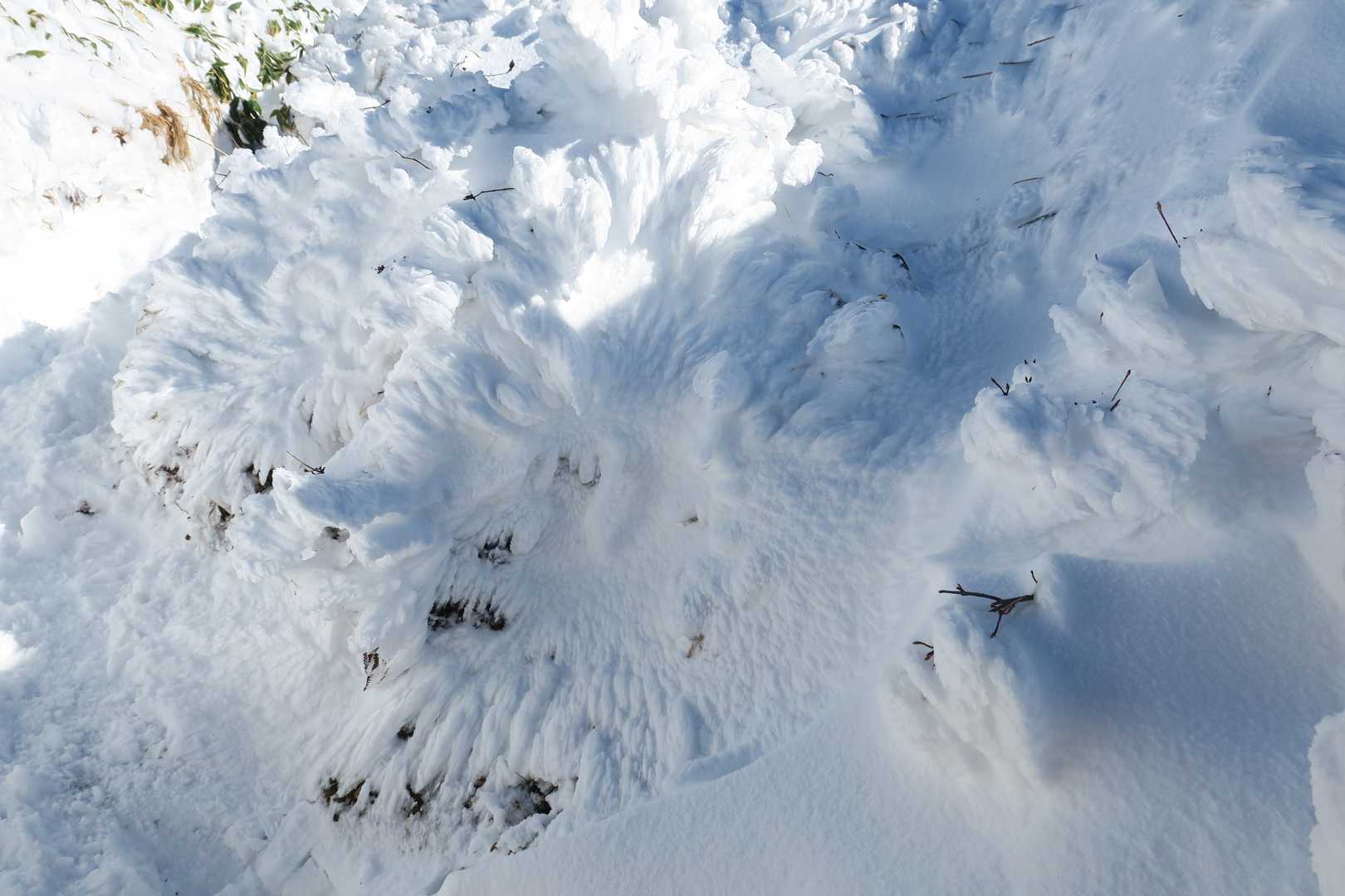 笹ヶ峰 往復コースの写真