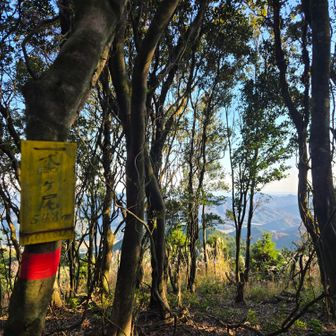 鳶ヶ尾🙌～てか、案外こっちの方が眺望いいかも？って期待したんだけど(笑)