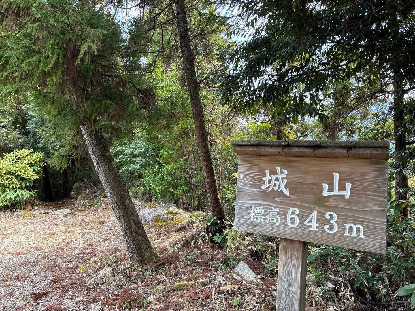 城山、山頂に到着～🥳
短い距離と思ってたけど結構キツかった😅