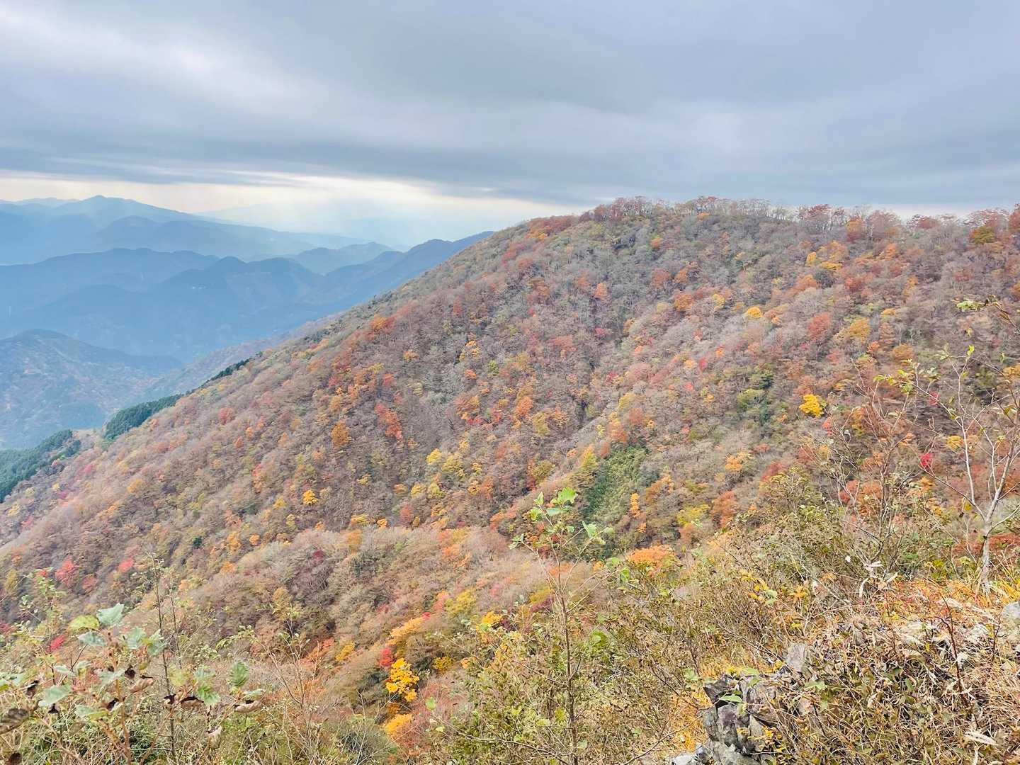 アチラの鍋割山からコチラに来ました🥰