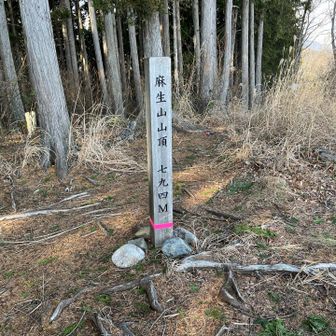 麻生山とうちゃく
ここに至るルートは超急登 下山では使わない方が良いと思う