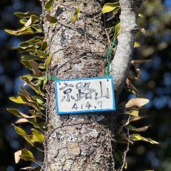 さらには京路山🌲