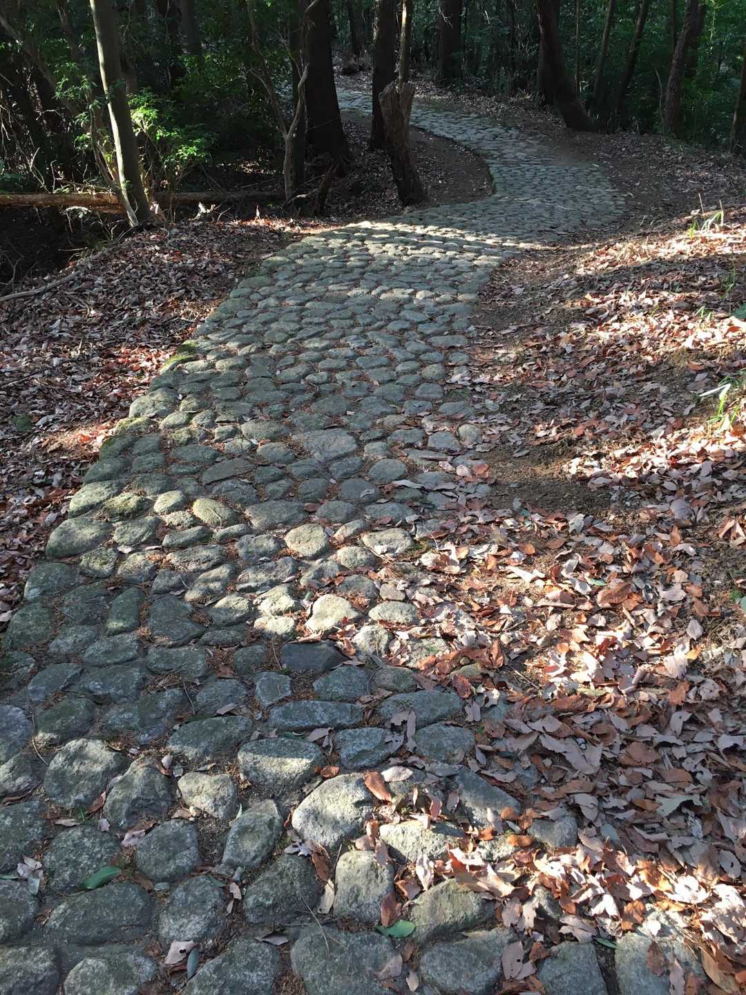 スポーツ公園 冬季営業時間は16時迄。急ぎ足で帰ってます 💦

好きな石畳ですが歩きにくいので今回だけは嫌い（笑）