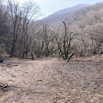 ソババッケと通り道。いつもは足下ぐじゃぐじゃになるらしい。