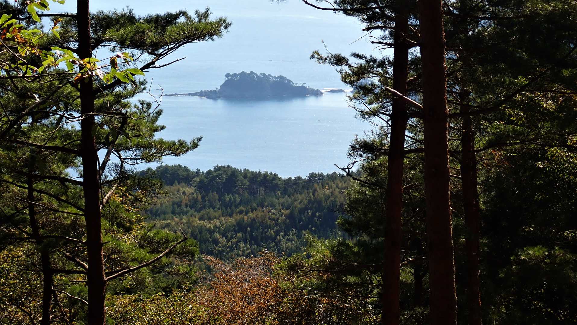 野島