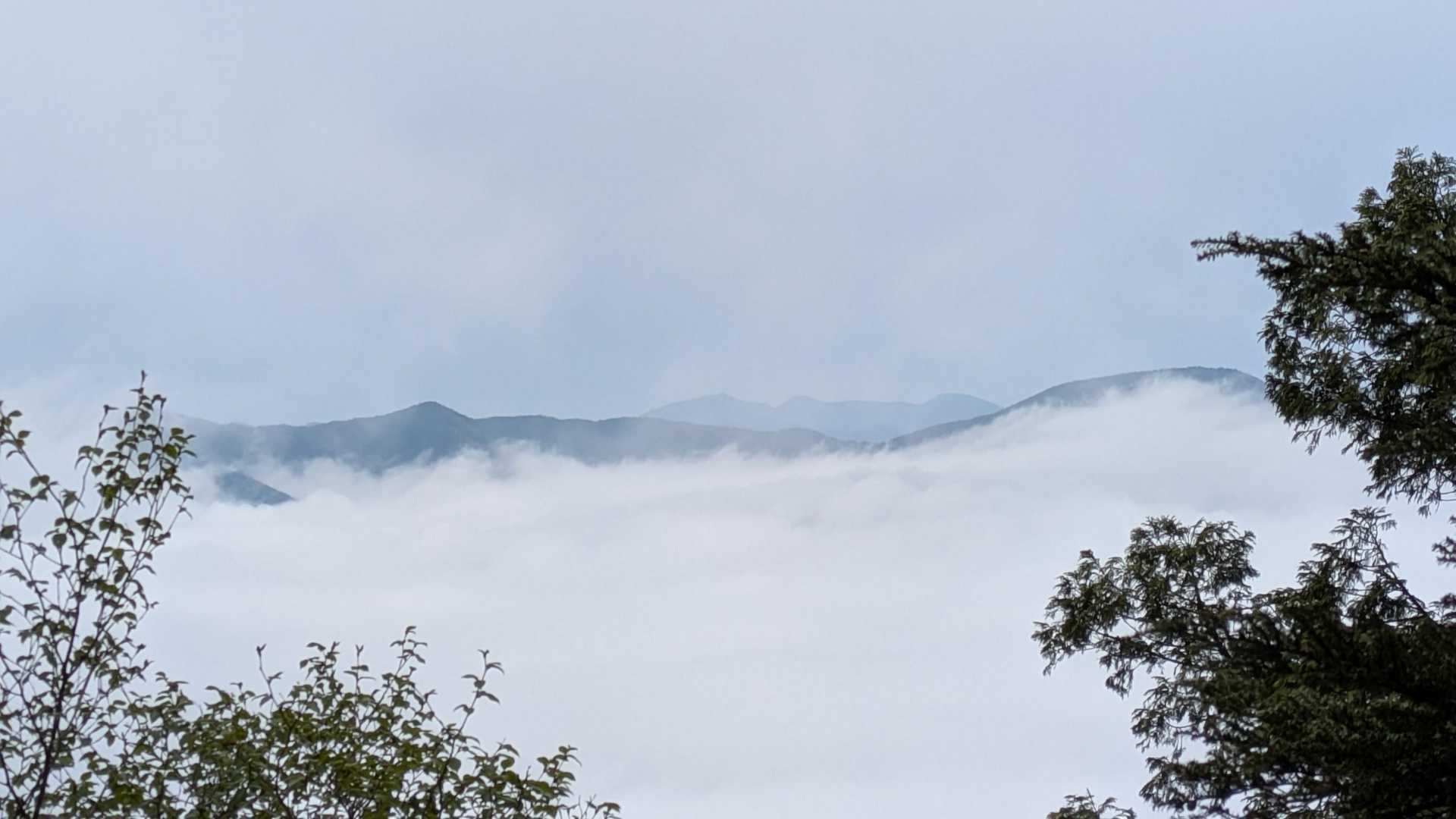 雲取山往復 | 関東屈指のパワースポット三峯神社から目指す東京最高峰の写真