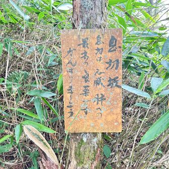 こちらでも励ましていました
上る場合は九十九折りの急坂💪