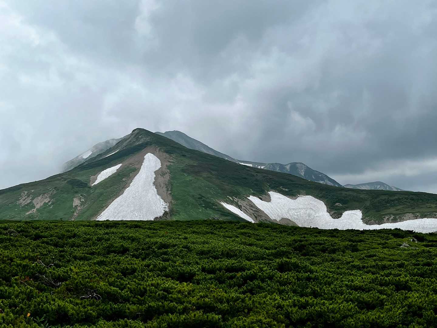 栂池ロープウェイ 自然園駅-栂池登山道入口-天狗原-乗鞍岳 往復コースの写真