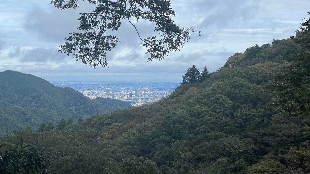 孫山・堂所山・景信山・城山（小仏城山）・高尾山・神変山 の写真 49