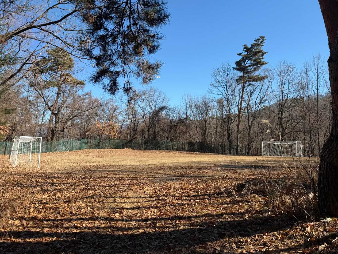 なんだなんだ⁇こんな山の中にサッカー場⚽️