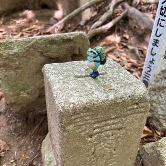 ちょっと寄ってみた！