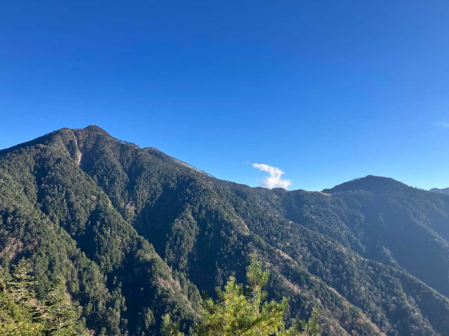 池口岳登山口-黒薙-利検沢ノ頭-池口岳 往復コースの写真