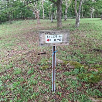 岩神山に向かう